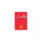روزگارتفنگ