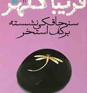 سنجاقکی نشسته بر کف استخر