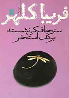 سنجاقکی نشسته بر کف استخر