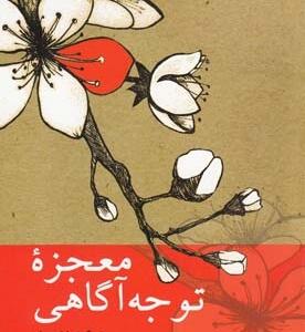 معجزه توجه و آگاهی