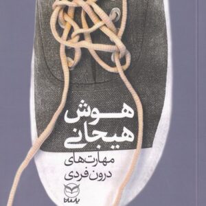 کتاب هوش هیجانی مهارت های درون فردی