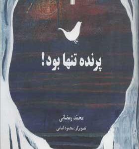 کتاب پرنده تنها بود اثر محمد رمضانی انتشارات سروش