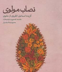 نصاب مولوی گزیده اسماعیل انقروی از مثنوی