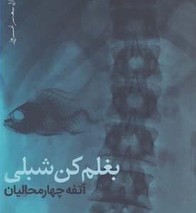 بغلم کن شبلی