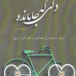 دلی که جا ماند
