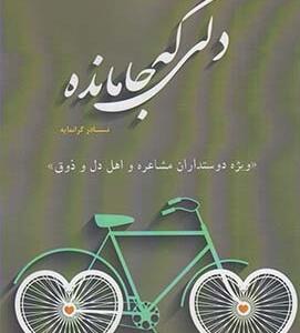 دلی که جا ماند