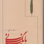 بانگ نی