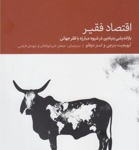 اقتصاد فقیر