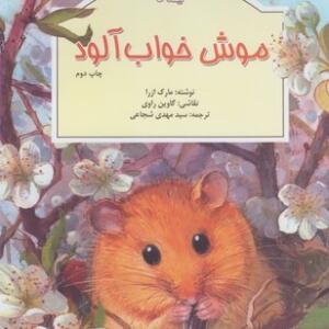 موش خواب آلود