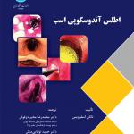 اطلس آندوسکوپی اسب