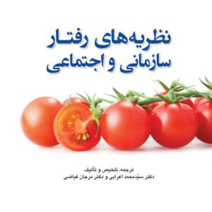 نظریه های رفتار سازمانی و اجتماعی