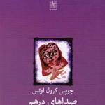 صدای درهم