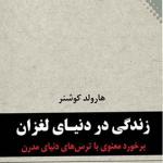 زندگی در دنیای لغزان