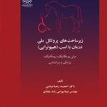 زیر ساخت های پروتکل ملی درمان با اسب(هیپوتراپی )