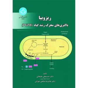 ریزوبیا باکتری های رشد محرک گیاه PGPB