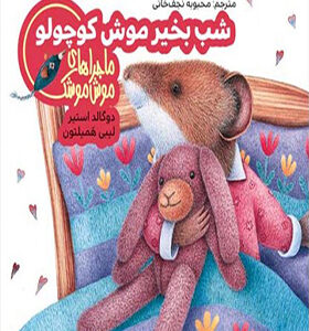ماجراهای موش موشک شب بخیر موش کوچولو