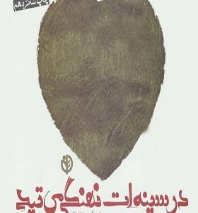 کتاب در سینه ات نهنگی می تپد