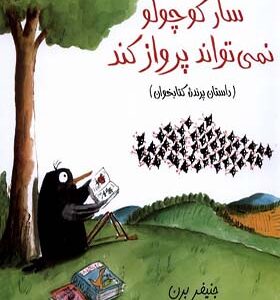 کتاب سار کوچولو نمی تواند پرواز کند