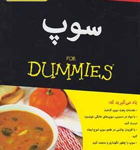 کتاب سوپ دامیز