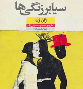کتاب سیابرزنگی ها