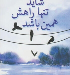 کتاب شاید تنها راهش همین باشد