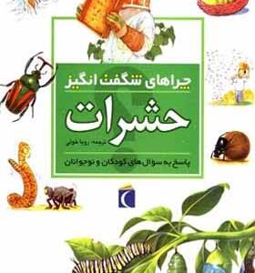 چراهای شگفت انگیز حشرات