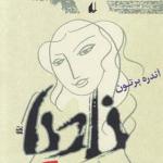 من در هر آنچه می بینم هستم
