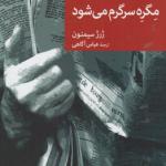 مگره سرگرم می شود