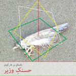 کتاب سخنگو داستان بردار کردن حسنک وزیر