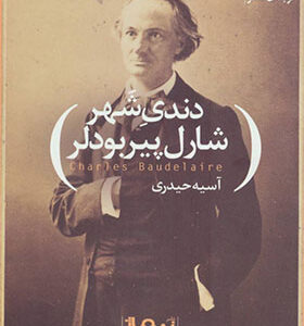 کتاب دندی شهر
