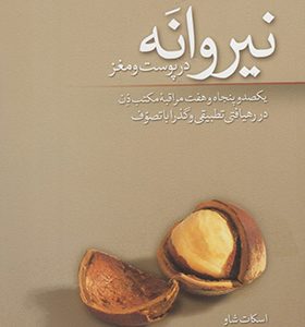 کتاب نیروانه در پوست و مغز