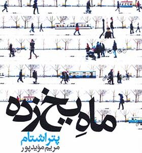 کتاب ماه یخ اثر پتر اشتام