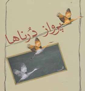 کتاب پرواز درناها اثر داوودغفار زادگان