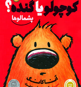 کتاب پشمالو ها کوچولو یا گنده اثر آناکانگ