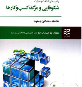 کتاب-راهبردهای-شناخت-و-هدایت-شکوفایی-و-مرگ-کسب-و-کارها-اثر-محمدرضا-حمیدی-زاده