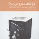 کتاب چرا اقتصاد فرو می ریزد به سوی نظریه ای عمومی درباره علت افول اقتصادی کشورها اثر جوزف استیگلیتز