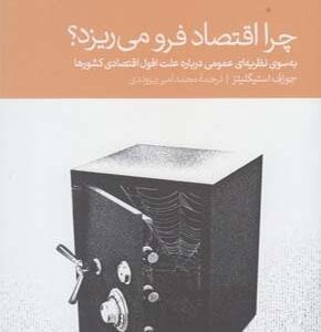 کتاب چرا اقتصاد فرو می ریزد به سوی نظریه ای عمومی درباره علت افول اقتصادی کشورها اثر جوزف استیگلیتز