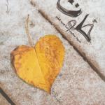 کتاب پازل شعر امروز خلوت اثر سعید صاحب علم