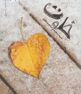 کتاب پازل شعر امروز خلوت اثر سعید صاحب علم