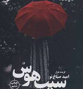 کتاب پازل شعر امروز سیب هوس گزیده غزل اثر امید صباغ نو