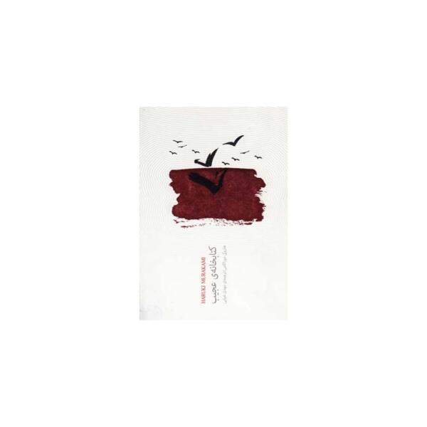 کتابخانه ی عجیب اثر هاروکی موراکی