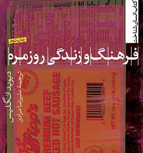 کتاب فرهنگ و زندگی روزمره اثر دیوید انگلیس
