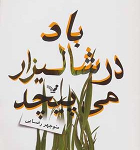 کتاب باد در شالیزار می پیچد اثر منوچهر رضایی