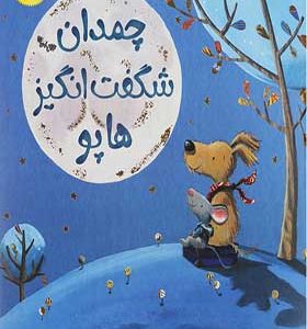 کتاب چمدان شگفت انگیز هاپو اثر تریسی کوردری