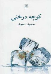 کتاب کوچه درختی اثر حمید امجد