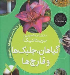دانشنامه تصویری بریتانیکا گیاهان جلبگ ها و قارچ ها