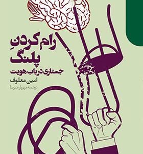 کتاب رام کردن پلنگ جستاری در باب هویت اثر امین معطوف