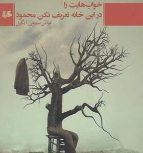 کتاب خواب هایت را در این خانه تعریف نکن محمود اثر عباس سلیمی آنگیل
