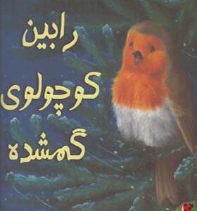 کتاب رابین کوچولوی گمشده اثر الیزابت باگولی