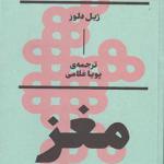 کتاب مغز یک صفحه نمایش است اثر ژیل دلوز